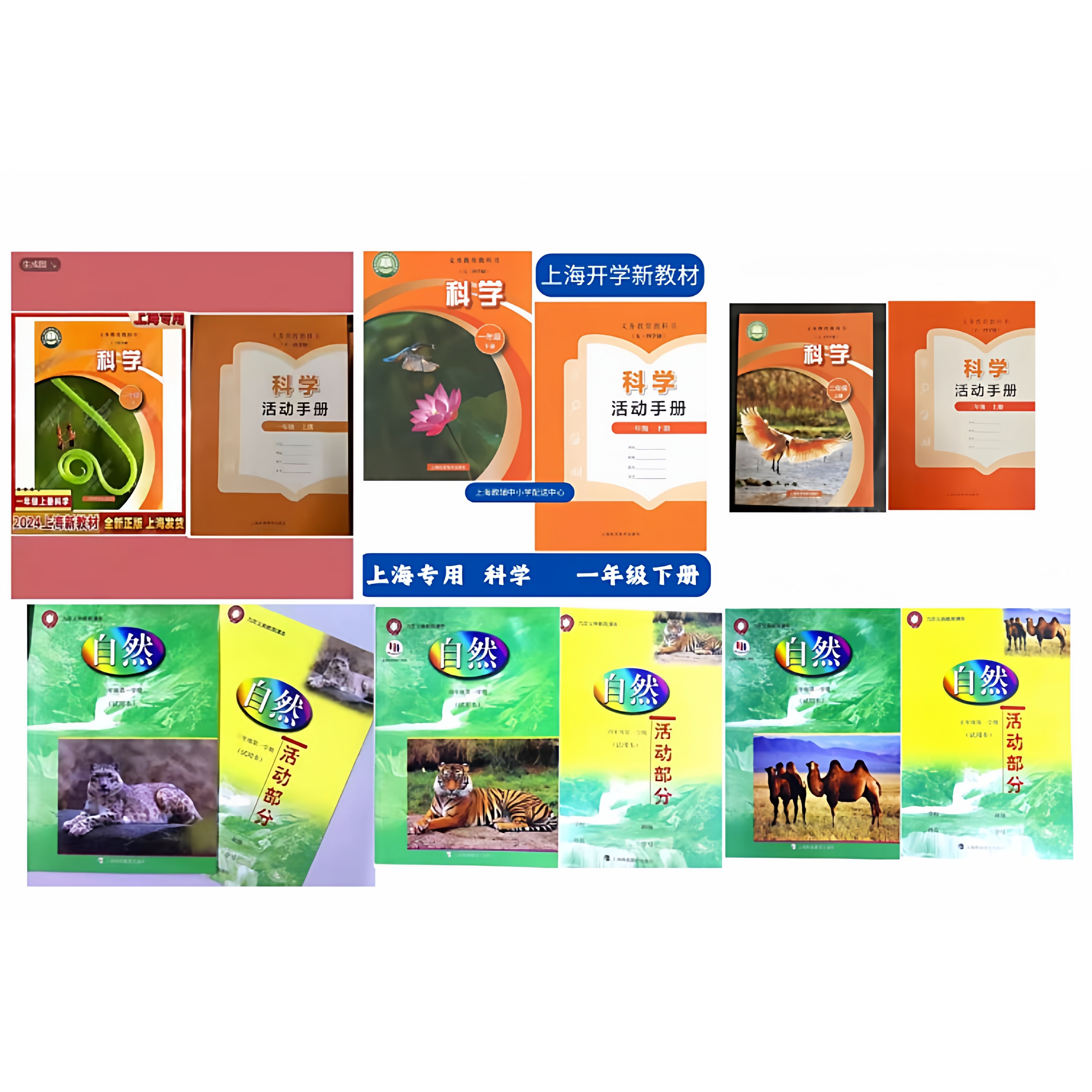 一二三四五年级自然+活动记录
