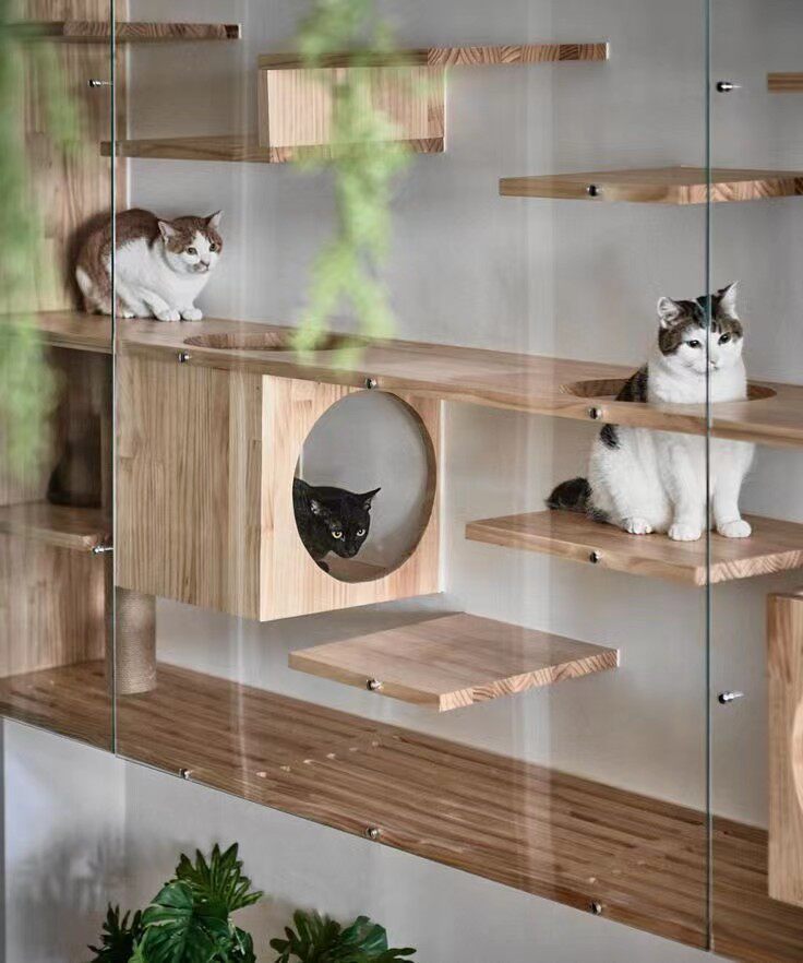 猫屋定制宠物房间猫房间宠物家居装修全屋定制