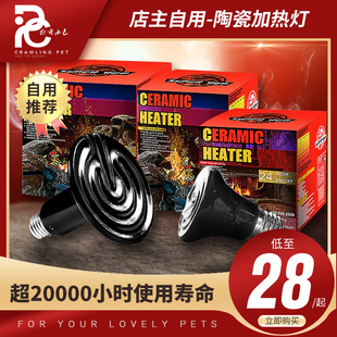 宠物陶瓷加热保温灯刺猬鹦鹉陆龟蜥蜴爬虫箱红外保温器防爆