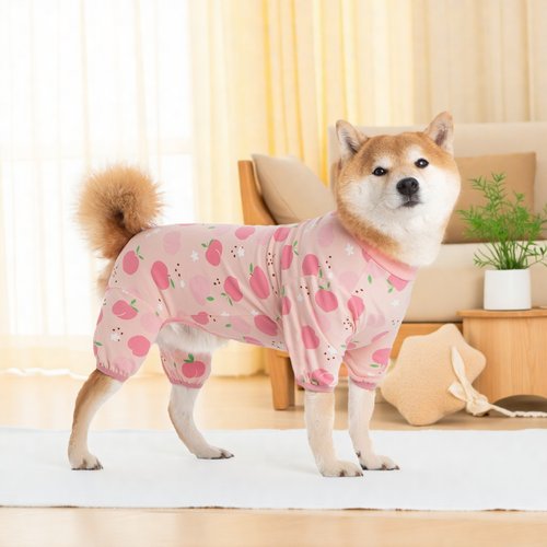 中大型狗狗春秋款边牧家居服衣服