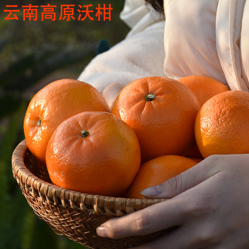 孕妇当季水果云南沃柑顺丰包邮