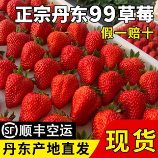丹东99草莓新鲜现摘水果九九红颜奶油特礼盒装孕妇牛奶香顺丰包邮