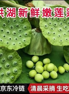 3斤洪湖新鲜莲蓬现摘京东冷链新鲜太空水果莲蓬莲蓬嫩莲蓬莲子