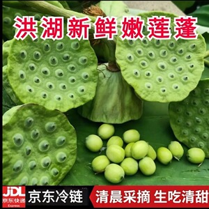3斤洪湖新鲜莲蓬现摘京东冷链新鲜太空水果莲蓬莲蓬嫩莲蓬莲子