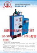 50kg发生器 佳先全自动点火生物质颗粒蒸汽锅炉30 包邮