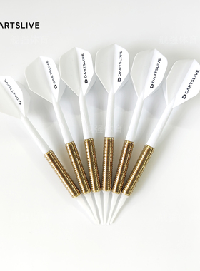 Dartslive飞镖机训练飞镖 公镖 学生安全飞镖粗牙4BA镖头一体飞镖