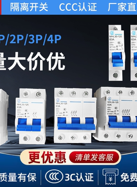 （店铺推荐）电气有限公司隔离闸刀开关MHL30-125小型隔离开关