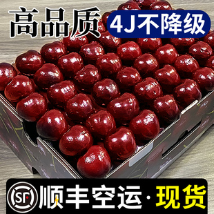包邮 非智利 5斤4JJJJ整箱孕妇 美早大樱桃国产车厘子新鲜水果当季