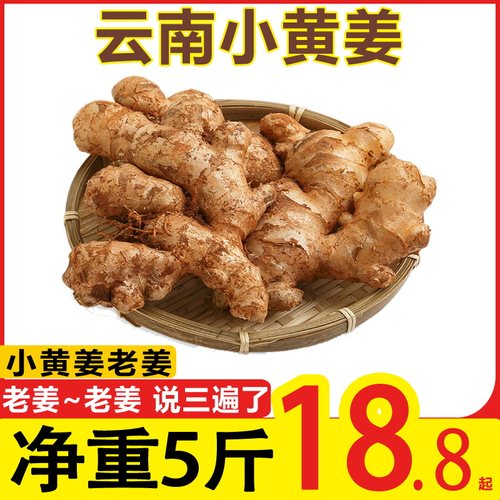 新鲜小黄姜老姜老姜土姜