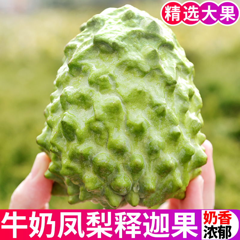 释迦果新鲜大果5斤牛奶凤