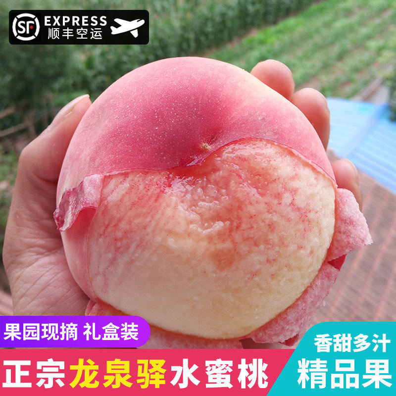 四川现摘新鲜龙泉驿水蜜
