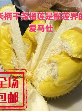 泰国进口长柄猫山王干尧
