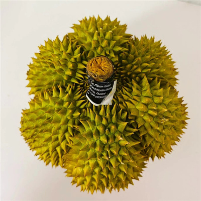 泰国新鲜金枕榴莲报恩巴掌小榴莲
