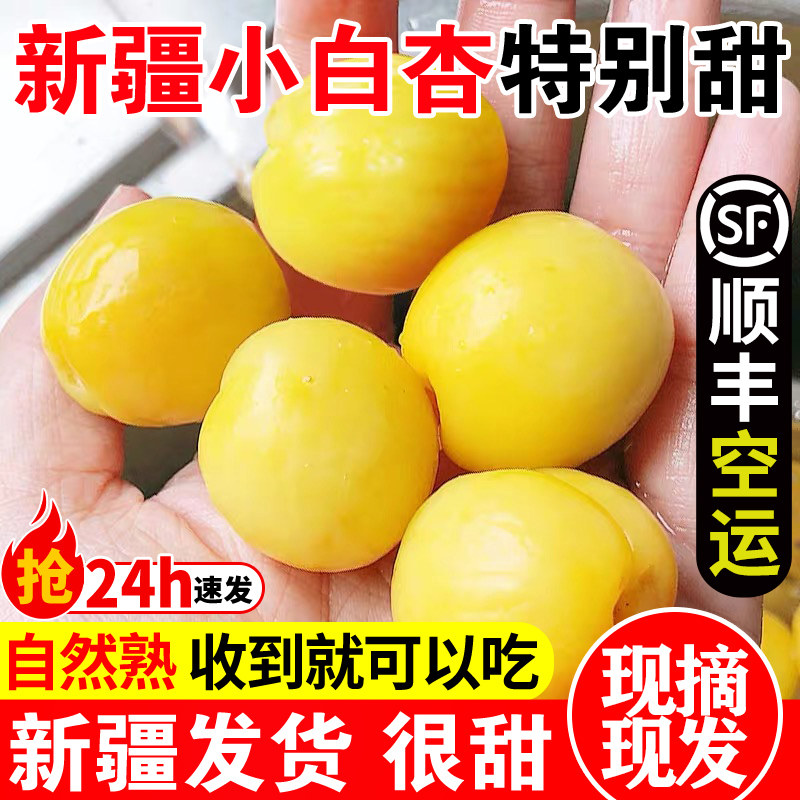 新疆小白杏轮台新鲜水果库车白杏子甜杏特产当季整箱胜小红杏顺丰