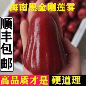 [顺丰到家]精选黑金刚莲雾海南莲雾果热带新鲜孕妇水果多汁