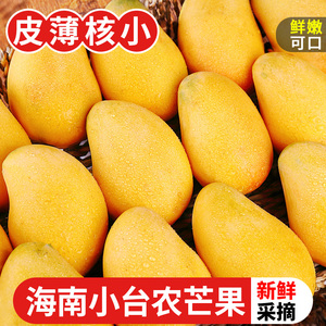 探味君中国台农芒海南小果10斤