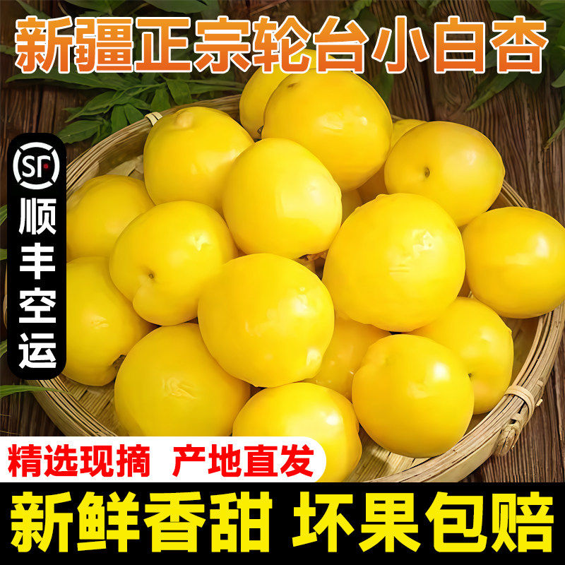 【空运】新疆小白杏新鲜