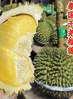 泰国干尧老品种新鲜榴莲