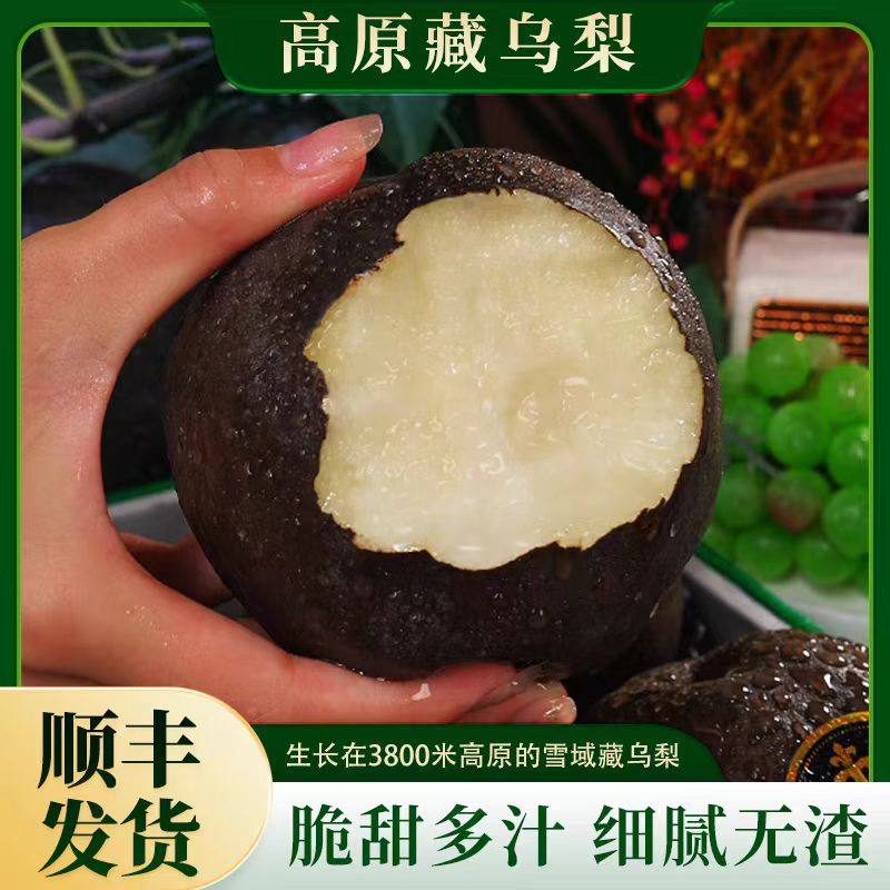 高山黑梨,云南高山黑蜜_大山谷图库