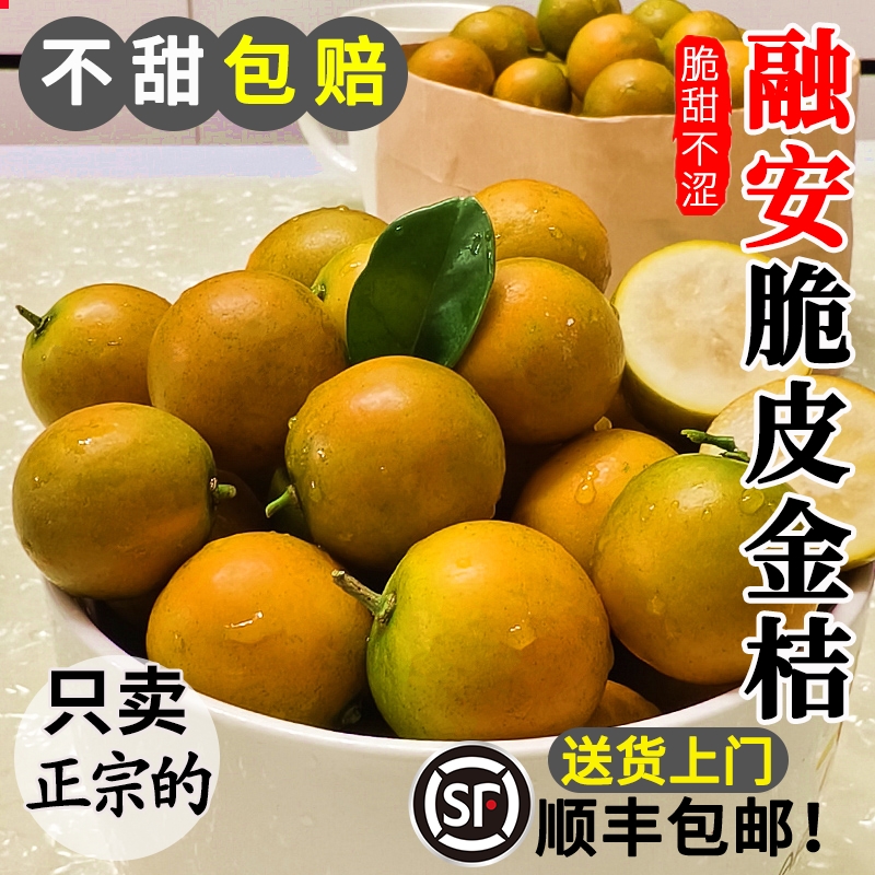 广西融安脆皮金桔5斤新鲜