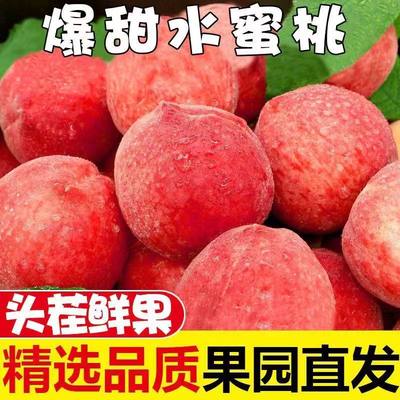 陕西水蜜桃5斤装春雪蜜桃秦岭水蜜桃新鲜现摘桃子硬毛桃脆甜桃子