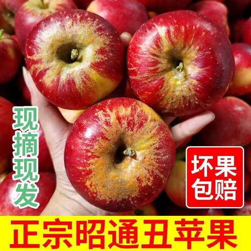 新鲜红富士昭通红富士苹果苹果