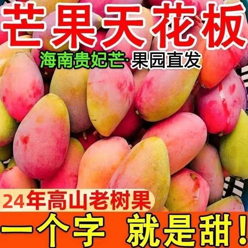 海南贵妃芒新鲜芒果当季应季水果整箱9斤5斤红金龙大果