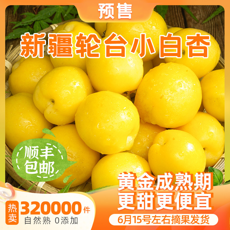 新疆小白杏轮台新鲜水果库车白杏子甜杏特产当季整箱胜小红杏顺丰