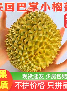 泰国托曼尼巴掌榴莲鲜果巴掌