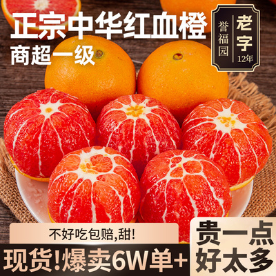 血橙新鲜水果秭归中华红
