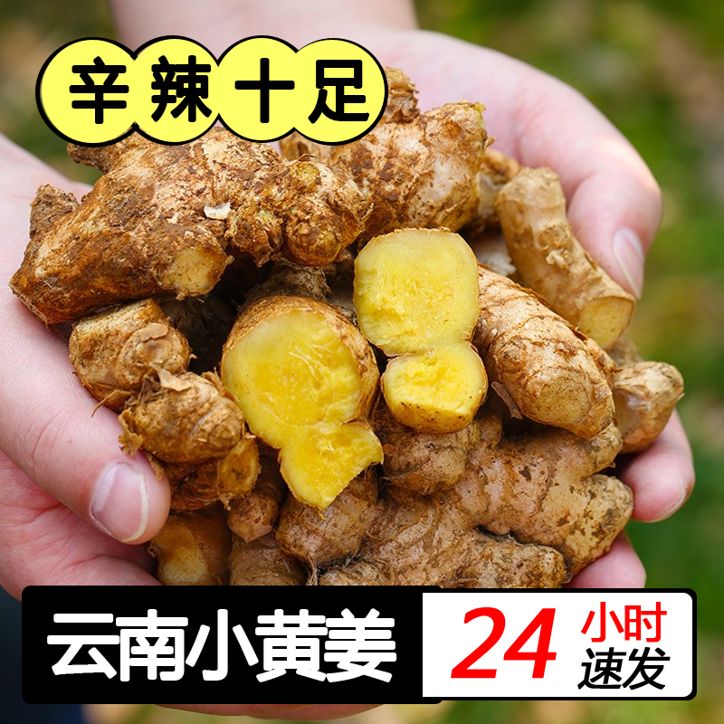 云南文山小黄姜新鲜生姜现挖老姜5斤月子姜土姜食用炒菜10斤