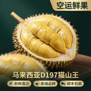 【树熟鲜果】泰国鲜果D197猫山王榴莲鲜果树熟新鲜榴莲现货包邮
