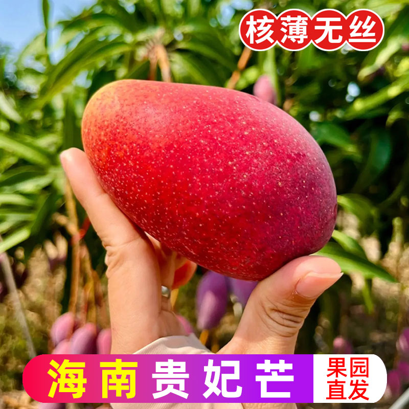海南三亚芒果贵妃芒新鲜水果红金龙整箱10斤包邮现摘树上熟