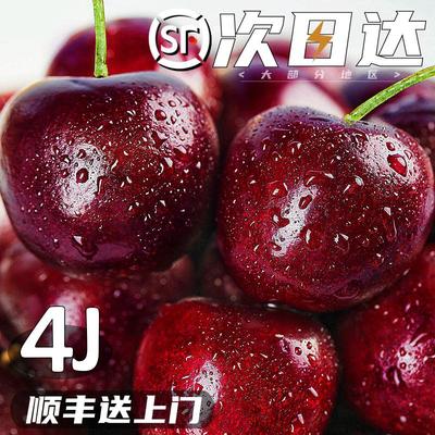 智利车厘子4新鲜水果包邮