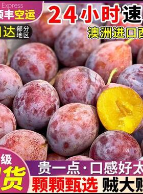 澳洲智利进口西梅法兰时