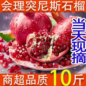 [正宗四川会理突尼斯软籽石榴10斤当季红宝石榴新鲜水果整箱包邮]