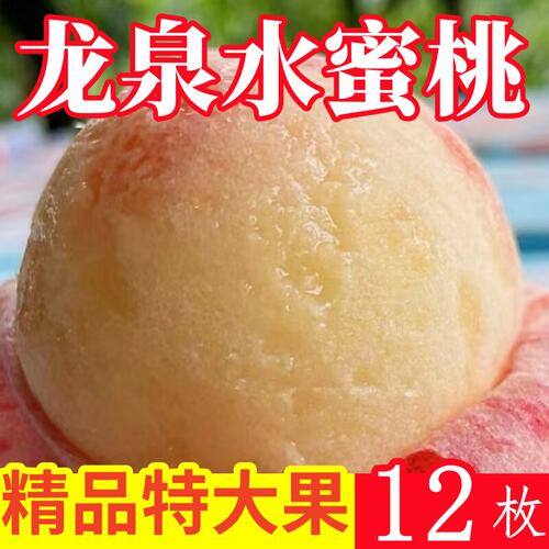 新鲜桃子龙泉水蜜桃现摘