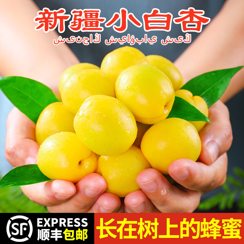 新疆小白杏子新鲜水果库车轮台甜杏4斤当季小红杏吊干油香杏包邮