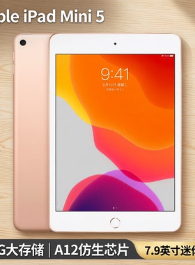 Apple/苹果 iPad mini 5(第五代) 迷你mini5代7.9寸 256G平板电脑