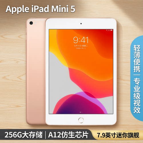 Apple/苹果 iPad mini 5(第五代) 迷你mini5代7.9寸 256G平板电脑