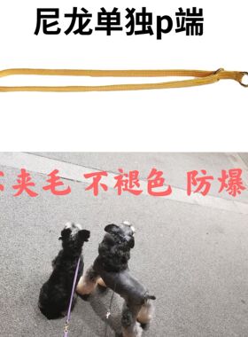 进口新款黄色紫色品质比赛牵引绳P链带1厘米宽不夹毛尼龙项圈