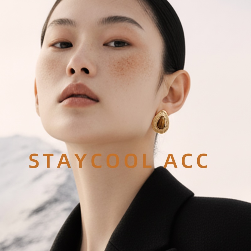 925银针虎眼石串珠耳钉女士耳拍复古中古风老钱风北欧风耳环羽毛