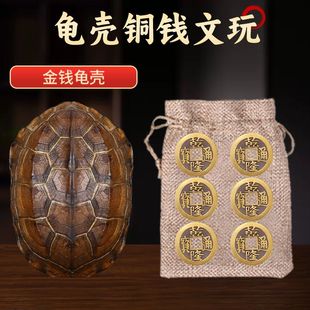 乾隆铜钱六爻摇卦工具算挂手把件家居摆件天然乌龟壳真龟甲文玩