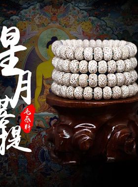 海南星月菩提子108颗正月高密素珠佛珠数珠手串 文玩手链男女项
