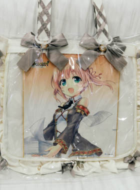 Zakkamart周年限定黑色白色限定A3A4大肠S码缎面pvc保护袋