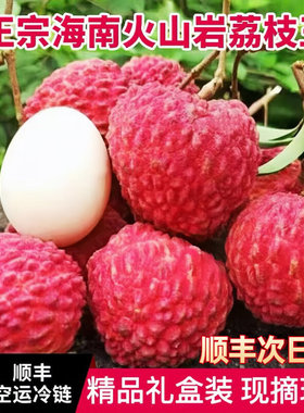 海南荔枝王超大荔枝当季孕妇水果现摘顺丰空运火山大果高档礼盒装