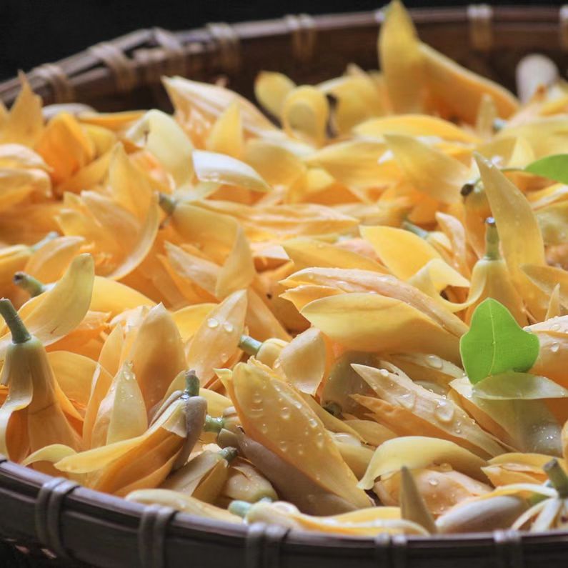 自然农法 广西黄玉兰细胞液  冷萃  12月预团  还原花香 许诺言