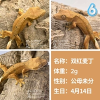 № 6 Double Red McDonal 1,5G