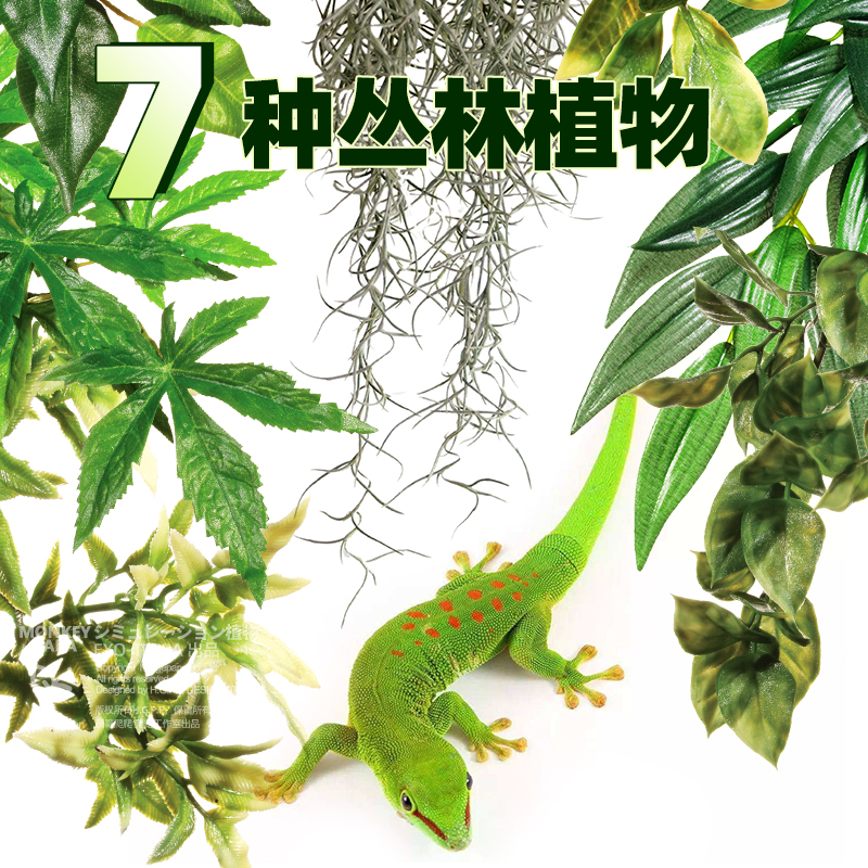 希瑾爬虫雨林缸造景仿真植物爬宠躲避睫角守宫饲养箱绿植装饰龟背