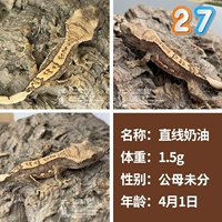 № 27 Прямой крем 1,5 г